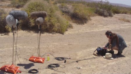 Mojave03